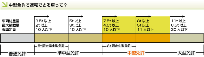 中型免許で運転できる車は?